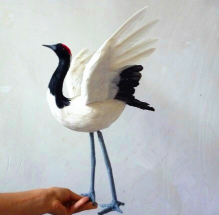 定做各種模擬動物 丹頂鶴 仙鶴 模擬鳥 攝影道具 教學模型