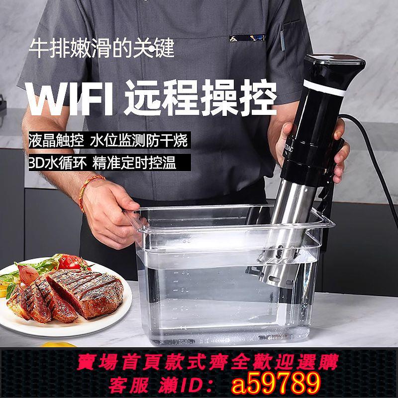 【台灣公司 可打統編】低溫慢煮棒家用sous vide牛排真空解凍恒溫WIFI料理機110V舒肥機