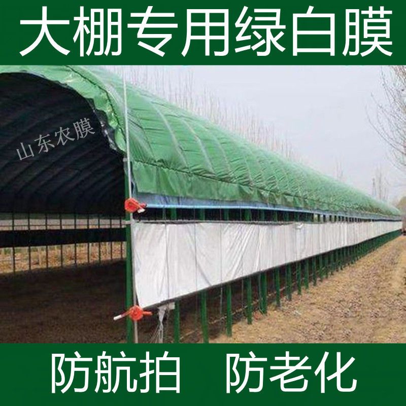 公司貨 最低價 免運 大棚膜大棚綠白膜加厚隔熱膜養殖綠色塑料膜保溫防曬食用菌微透光