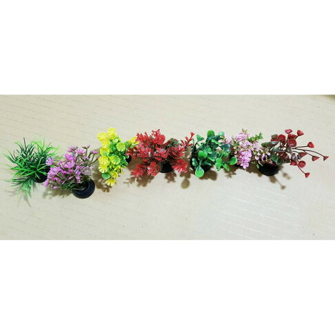 迷你5公分水族仿真水草塑膠花草塑膠水草造景裝飾美化魚缸爬缸佈置庭園多肉 金金水族 Rakuten樂天市場 迷你5公分水族仿真水草塑膠花草塑膠水草造景裝飾美化魚缸爬缸佈置庭園多肉 金金水族 Rakuten樂天市場