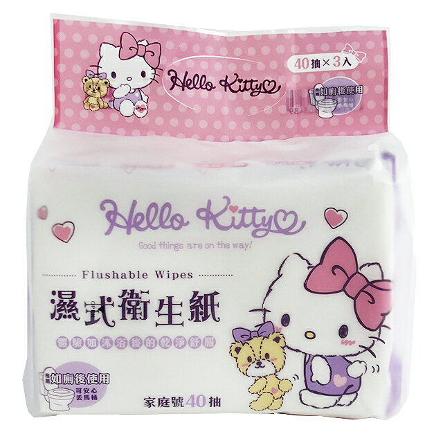 小禮堂 Hello Kitty 40抽濕式衛生紙包組 濕式面紙 濕紙巾 柔濕巾 可丟馬桶 (3入 紫 小熊)