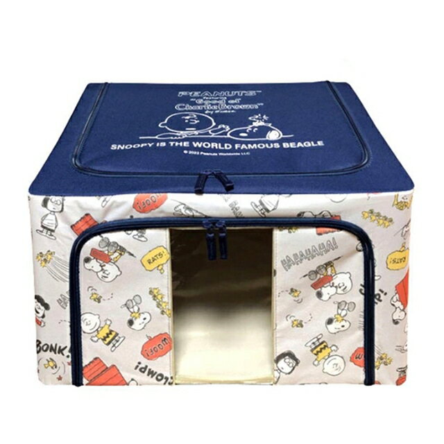 小禮堂 Snoopy 尼龍支架視窗衣物收納箱 (藍灰查理布朗款)