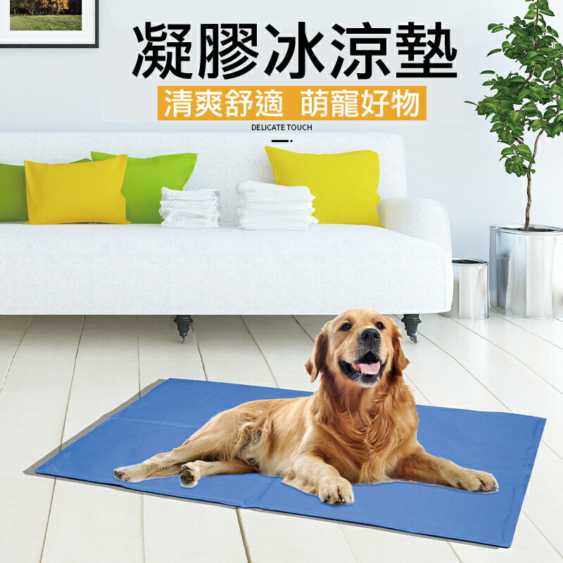 寵物冰墊 凝膠涼感墊 寵物床 有效降溫 寵物涼墊 睡墊 貓狗冰墊 狗睡墊 貓墊 夏日涼墊 狗窩