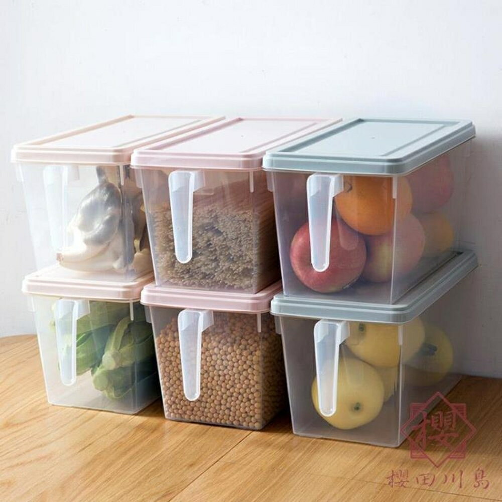 冰箱透明收納盒冷凍盒水果盒子食物雞蛋保鮮盒【櫻田川島】