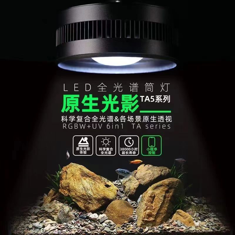 現貨下殺！【免運】 魚缸水草燈 原生溪流缸筒燈爆藻增艷出苔燈全光譜LED水草燈魚缸燈專業支架八折下殺 打骨折 可開發票 加客服賴享受巨額減免金牌保障