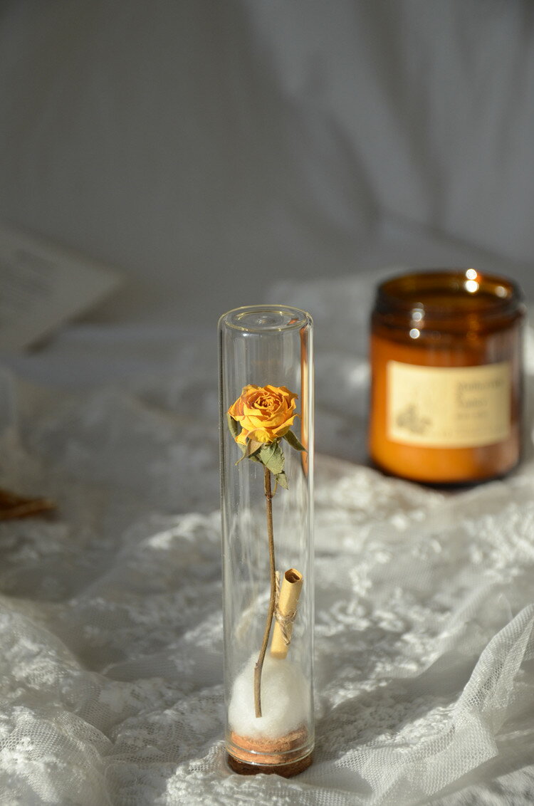 ins玻璃試管乾花許願瓶花束裝飾玫瑰創意送禮閨蜜同學生日伴手禮