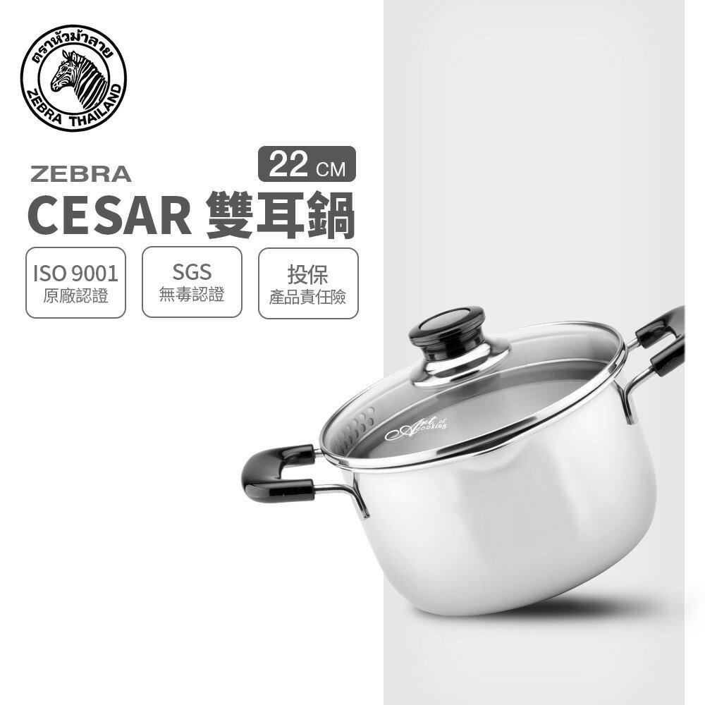 ZEBRA 斑馬牌 Cesar雙耳湯鍋 22cm / 4.5L / 304不銹鋼 / 湯鍋