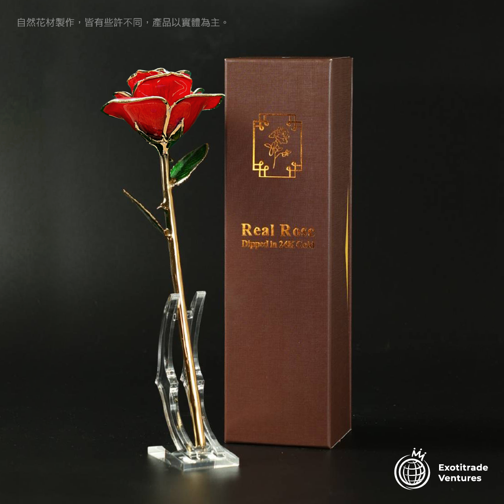24K金 永恆鍍金珍藏玫瑰_紅色 7