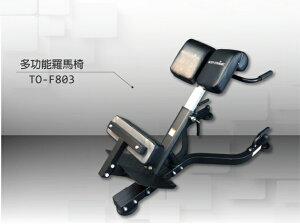 【Body Dynamic】 TO-F803德旺多功能訓練羅馬椅【需客戶DIY組裝】