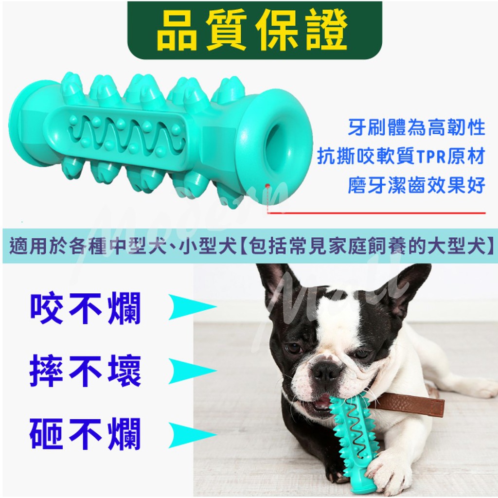 狗磨牙玩具【非常耐咬💎免運現貨】 耐咬玩具 狗耐咬玩具 狗玩具 寵物玩具 漏食 潔牙 牙刷 牙結石 2