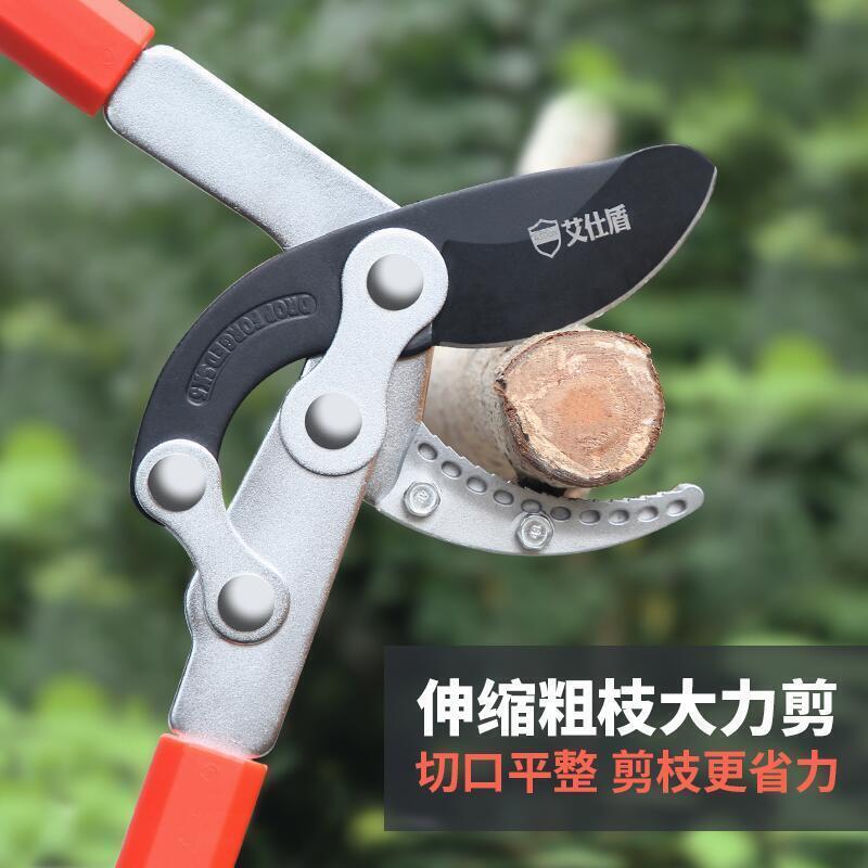 【可開發票】粗枝剪大力剪省力剪刀修枝剪園藝修剪樹枝果樹剪刀園林強力剪工具【鐘華五金】
