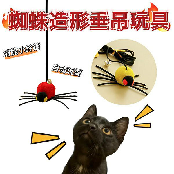 『臺灣x現貨秒出』蜘蛛造形垂吊自嗨貓咪玩具 貓玩具 鞦韆玩具 寵物玩具 貓自嗨 鈴鐺玩具