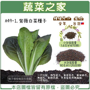 【蔬菜之家】A49-1.紫薇白菜種子(共有2種包裝可選)