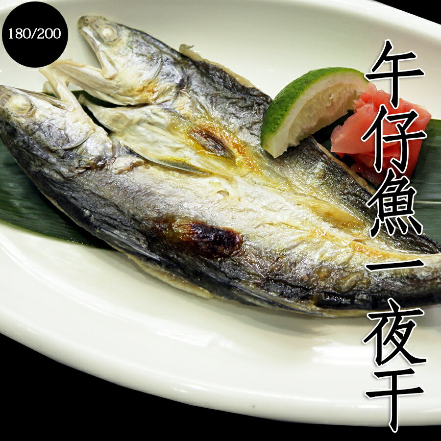 ㊣盅龐水產◇午仔魚一夜干250/300◇250~300g/隻◇零$140元/隻◇ 魚肉細緻 油脂豐富 零售 批發