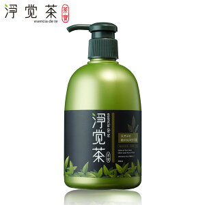 【茶寶 淨覺茶】茶籽酵素-植萃純淨洗手露 (350ml/瓶)