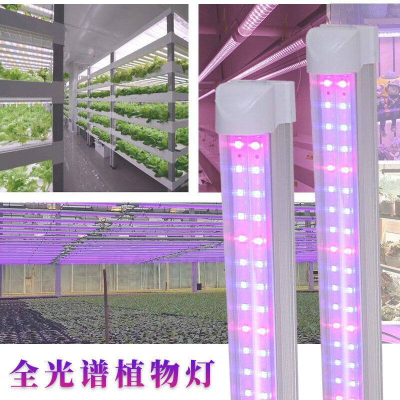 全光譜 T8植物燈管 生長燈 花卉燈 溫室多肉補光燈 生長燈條 燈管 植物培養燈 紅藍燈