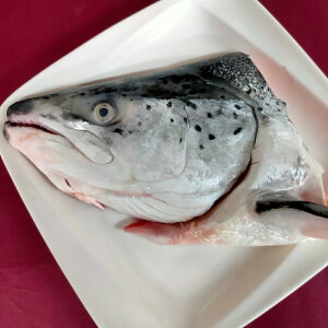 冰鮮挪威鮭魚頭 450g±10%/包