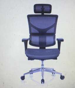 [COSCO代購4] W132324 Ergoking 全功能加大網布人體工學椅