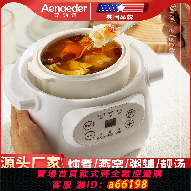 【臺灣公司 可開發票】110V電燉鍋隔水燉電燉盅多功能預約燕窩營養湯養生燉鍋美國日本用
