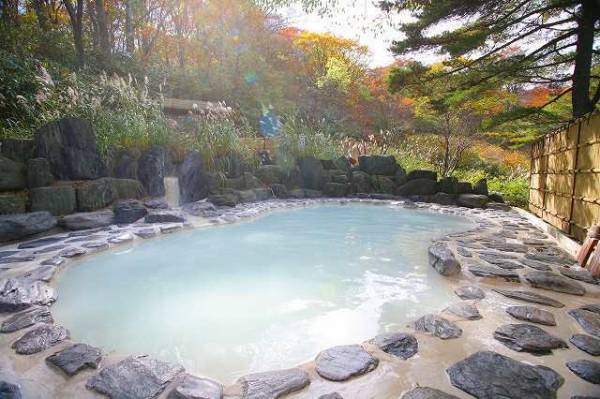 日本 第一品牌 藥湯 漢方 入浴劑 750g 8