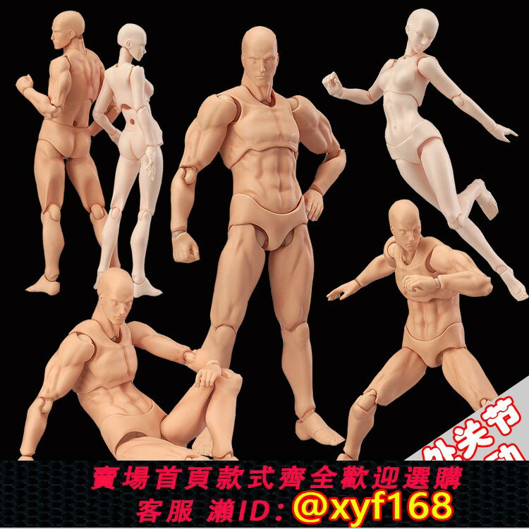 {保固一年 可打統編}figma素體美術人體模型玩具日本人偶關節可動成人繪畫肌肉shf素體