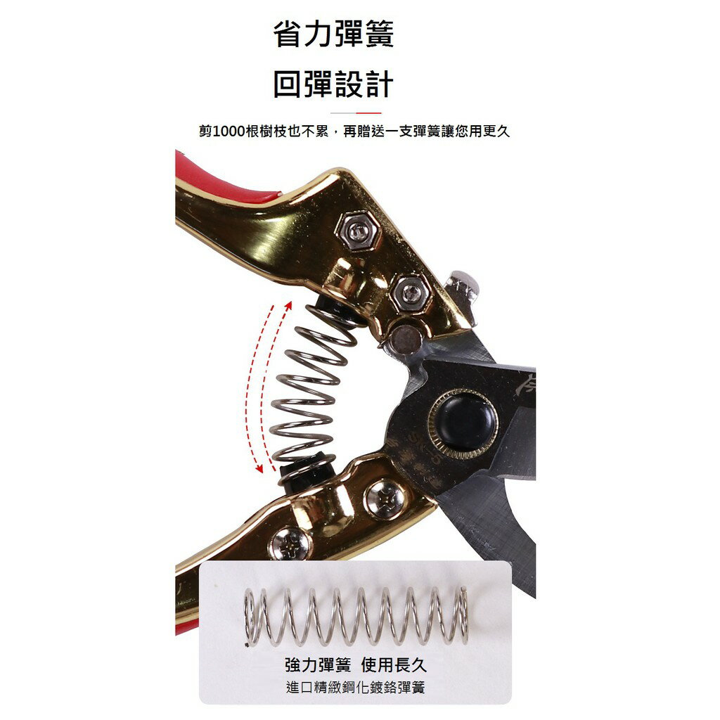 台灣現貨 海綿握把鍍鈦園藝剪 鋁鍛造握把專業園藝剪刀 外銷果樹剪 花剪 SK5高碳鋼 bypass pruner 7