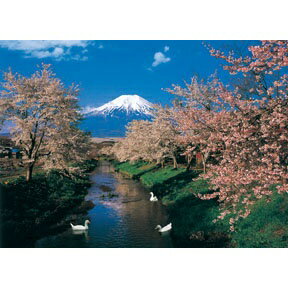 HM - HM52-599 富士櫻拼圖520片
