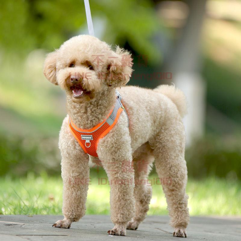 狗狗牽引繩背心式泰迪小型犬雪納瑞博美胸背帶幼犬遛狗繩狗鏈子 不二雜貨 不二雜貨直營店