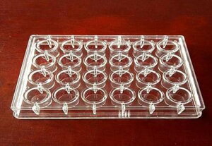 24孔 48孔 96孔晶體板 結晶板 獨立包裝 細胞培養實驗室耗材