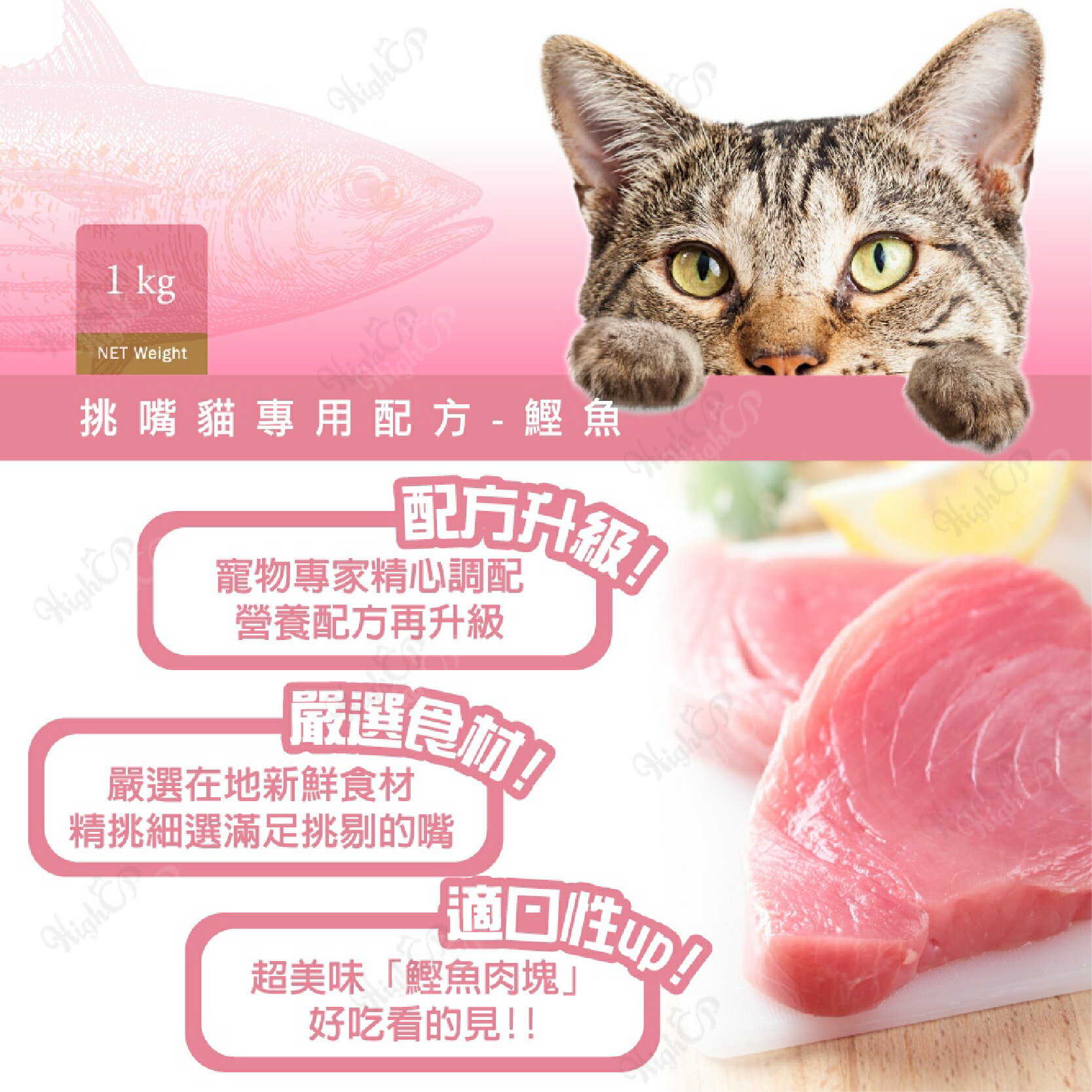 健康紀元 HEALTHYERA 貓飼料 挑嘴貓飼料 福壽 葛莉思 貓乾糧 貓糧食 貓食品 貓咪飼料【240804】 4