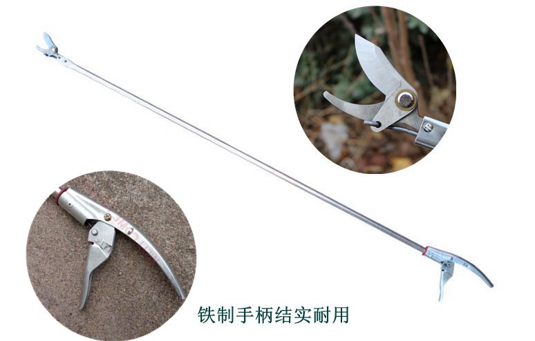 修枝剪 園藝剪刀 花藝剪 加長桿高枝剪修枝剪可伸縮剪刀樹枝剪園林果樹剪高空剪鋸花剪長柄『ZW00188』