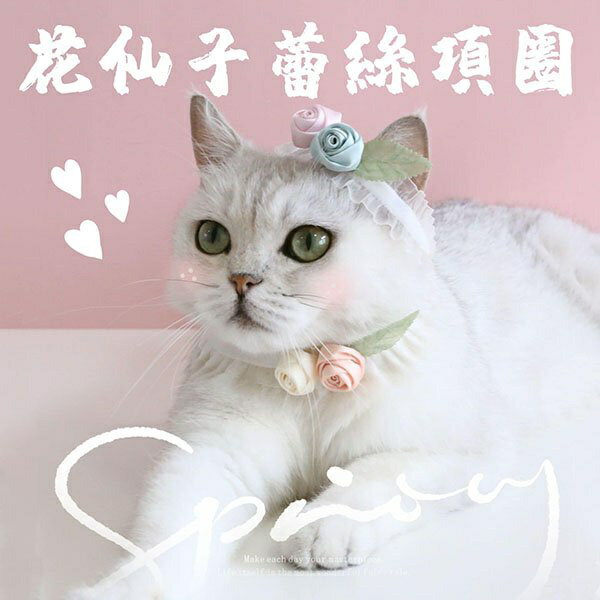 『臺灣x現貨秒出』花仙子蕾絲寵物項圈 貓項圈 狗項圈 貓咪項圈 貓咪領巾 寵物領巾