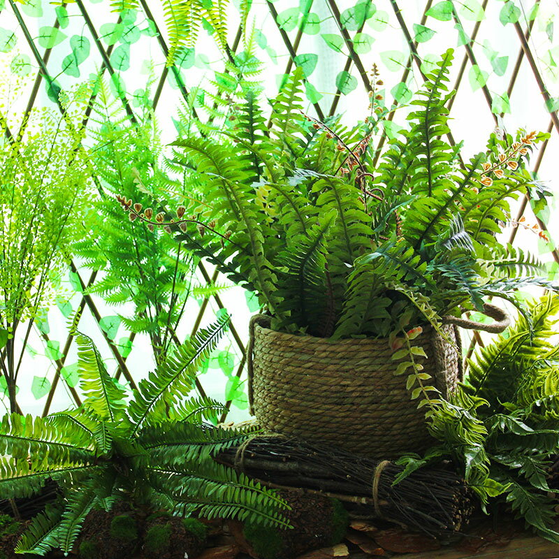 森系仿真軟膠厥葉裝飾植物墻波斯葉創意手感蕨類綠植插花婚慶造景