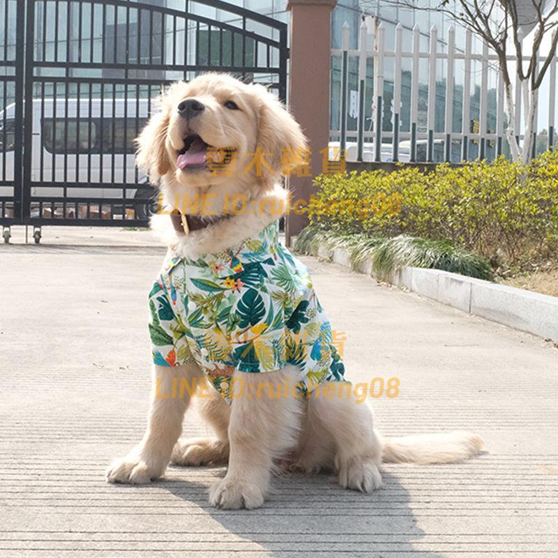 寵物衣服夏季薄款 襯衣沙灘風 透氣中型犬大型犬大狗狗襯衫舒適衣服【雲木雜貨】