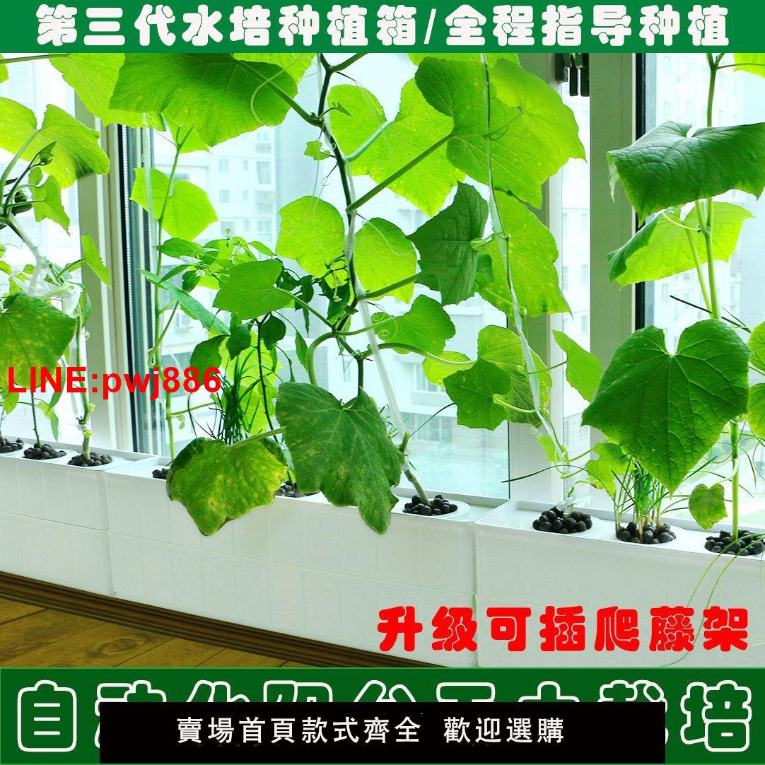 {臺灣公司 可開發票}無土栽培蔬菜設備陽臺種菜盆長方形種植箱自動水培種植機組合花盆