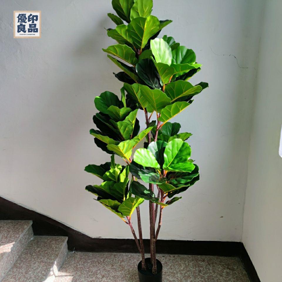 免運 工廠現貨 模擬樹 模擬綠植 仿真植物 裝飾假樹 北歐簡約網紅模擬樹綠植琴葉榕家居客廳店鋪工程造景裝飾假樹盆栽免運 工廠現貨 模擬樹 模擬綠植 仿真植物 裝飾假樹免運/可開發票 工廠直銷 特價出 y5418