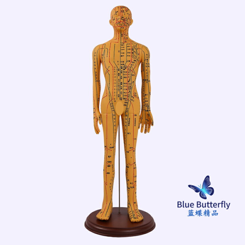{可打統編 保固一年}針灸人體模型醫用扎針練習小皮人十二經絡穴位圖模特軟膠扎針練習 4