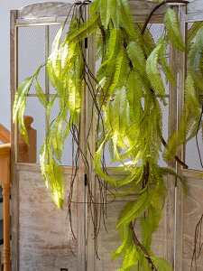 掬涵 仿真長葉蕨垂掛大型綠植花藝吊蘭蕨類墻壁裝飾藤條酒店客廳