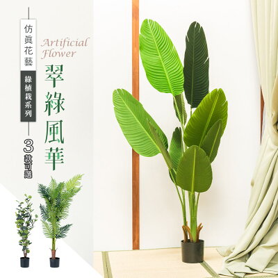 塑膠花/室內盆栽/室內植物 仿真草植-綠植栽系列/翠綠風華(3款可選) dayneeds