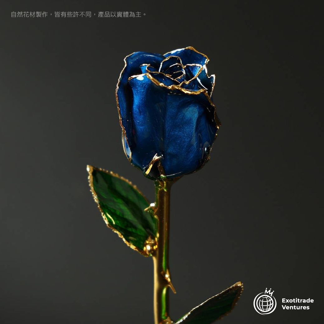 24K金 永恆鍍金珍藏玫瑰_藍色 1