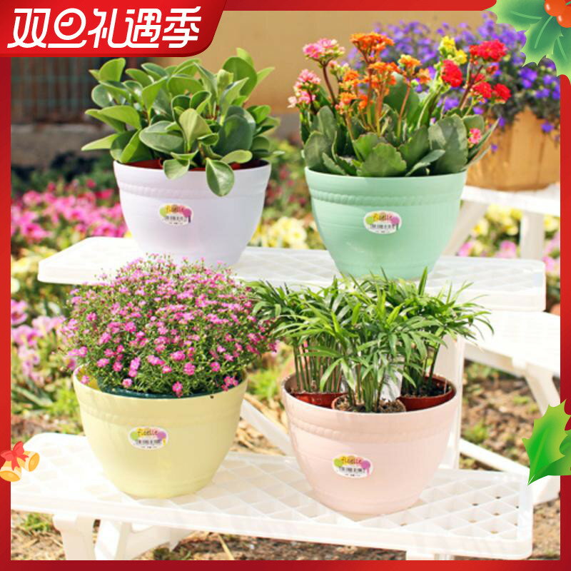 愛麗思 大號小號塑膠彩色圓缽4/9/10/12/14號 圓盆 簡約樹脂花盆