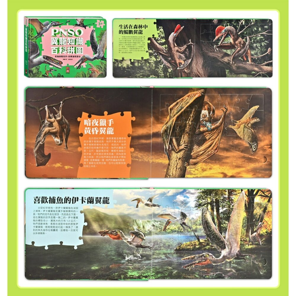 媽媽買 PNSO百科拼圖 風車圖書 恐龍拼圖書 翼龍拼圖 PNSO恐龍 恐龍百科拼圖 翼龍知識拼圖 恐龍益智拼圖書 兒童恐龍拼圖 8