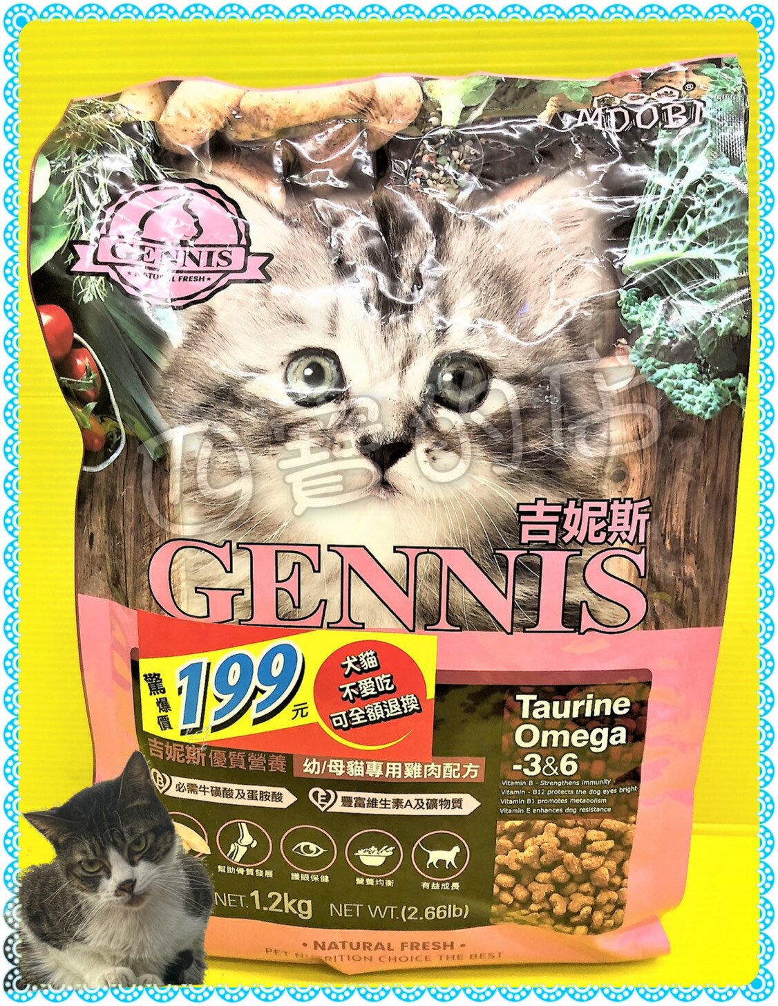 ✪四寶的店n✪附發票~GENNIS吉妮斯 特級幼/母貓配方 貓飼料1.2KG(雞肉口味)