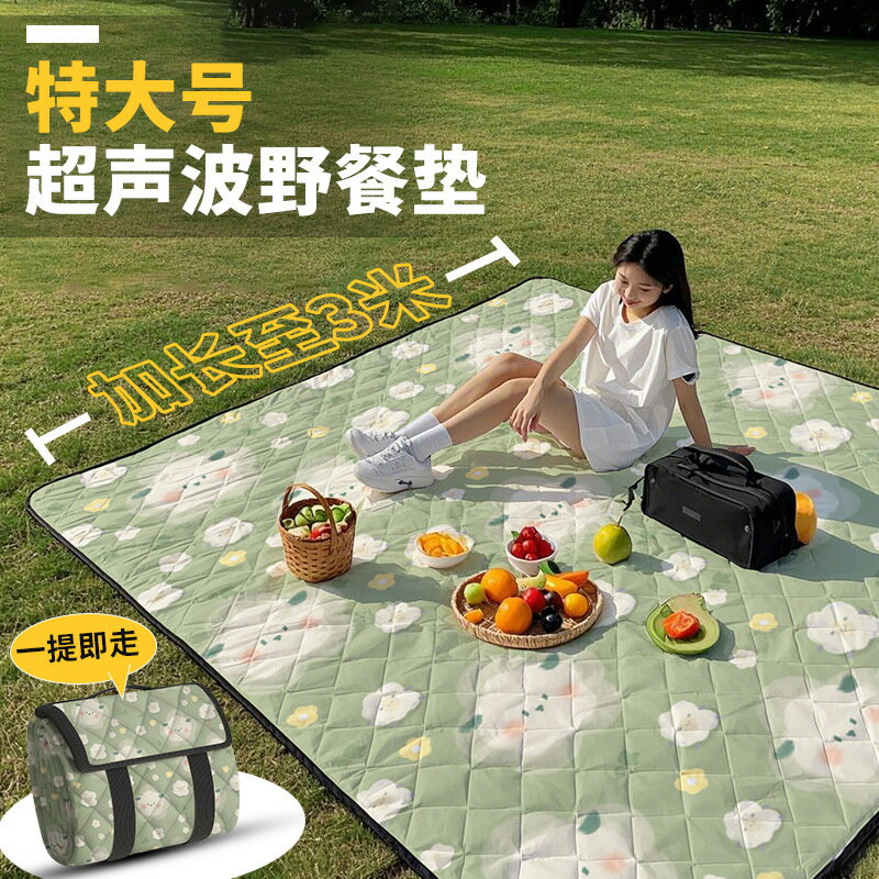 2025新款特大號戶外野餐墊防水防潮加厚春遊野炊露營防雨可攜式墊子