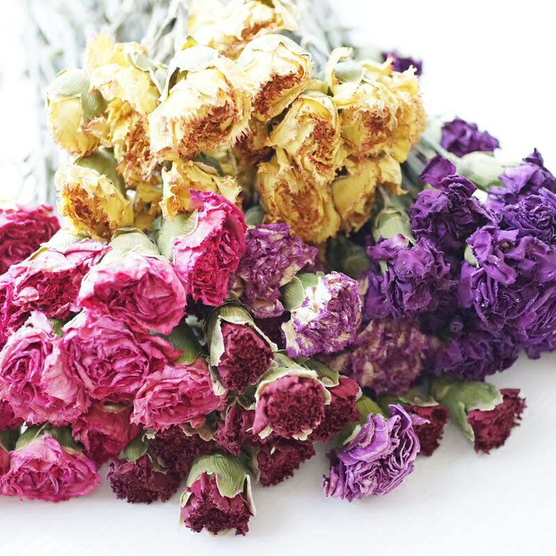 Lmdec真花干花束 康乃馨風干花客廳裝飾花擺設花藝自然花材