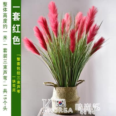 模擬蘆葦花狗尾巴草水草乾花假花束網紅植物綠植客廳落地裝飾擺件