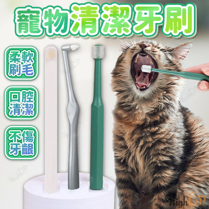 寵物牙刷 貓咪牙刷 貓用牙刷 狗狗牙刷 360度牙刷 軟毛牙刷 尖頭牙刷 犬用牙刷【521037】