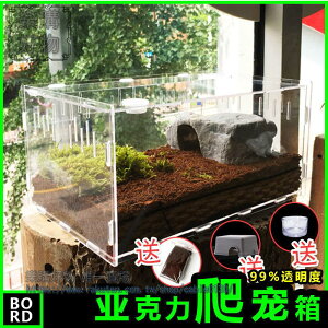 爬蟲飼養盒寵物箱透明蜥蜴蟋蟀爬寵造景箱