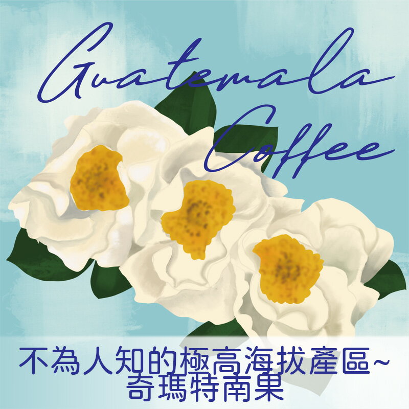 瓜地馬拉  奇瑪特南果產區  梅賽德斯莊園  黃波旁【Nikkoffee日光咖啡】