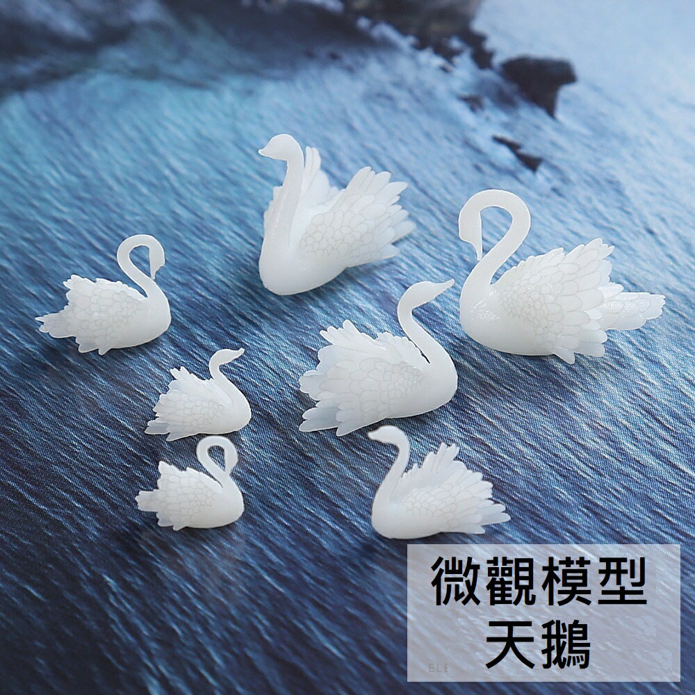 【微觀模型-天鵝】3D立體 天鵝 模型 滴膠素材 水晶膠填充物